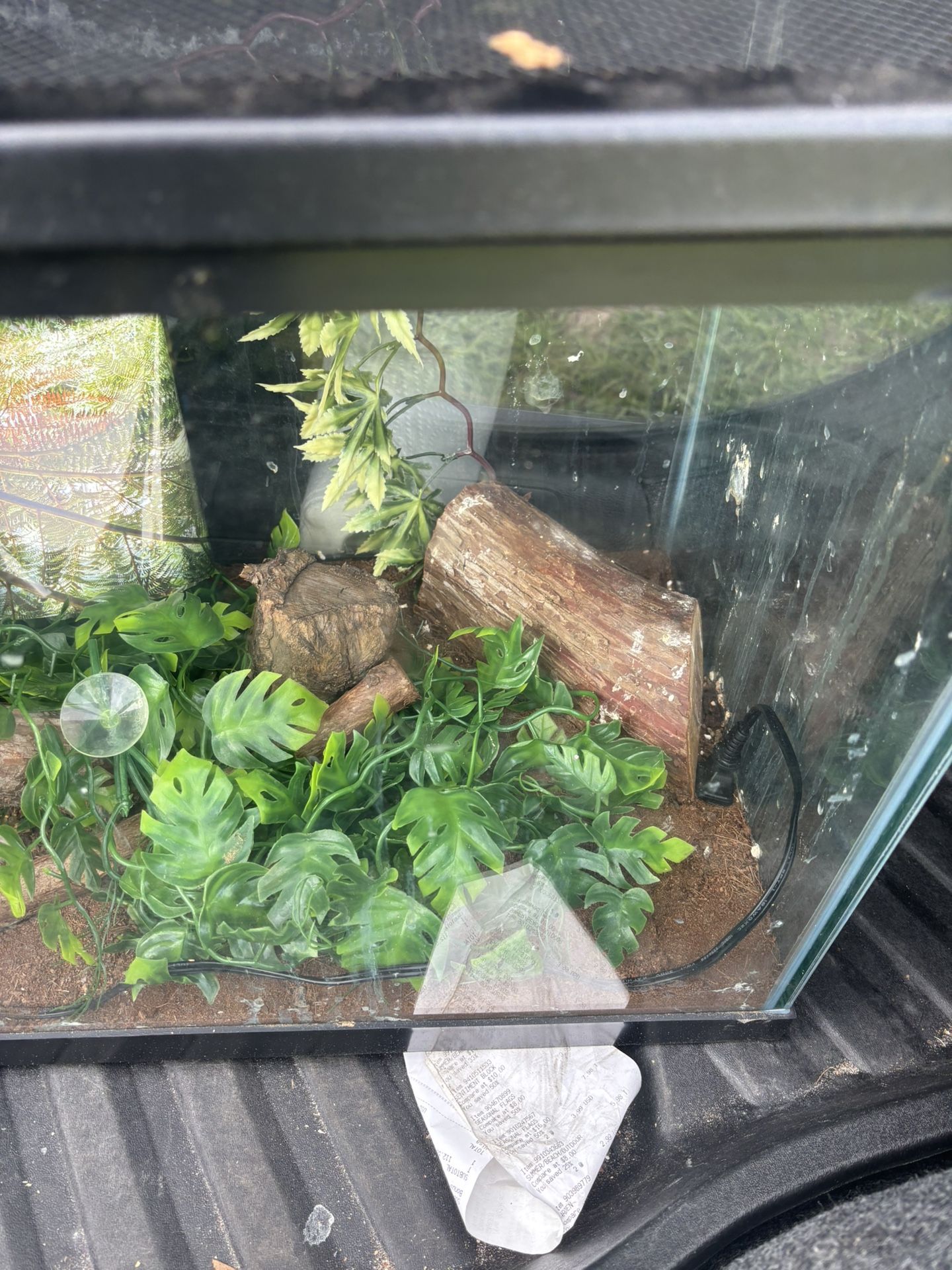 Reptile tank with accessories