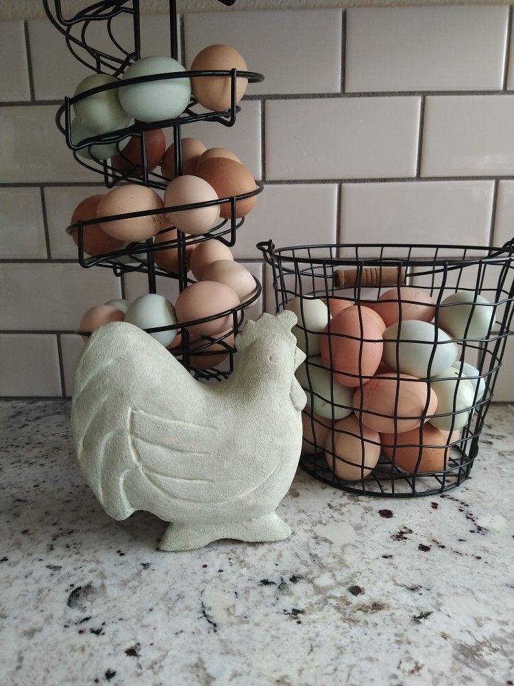 Fresh Eggs