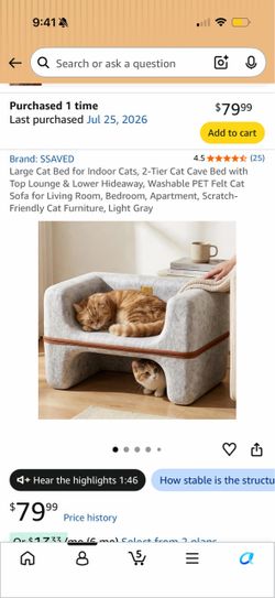 Large cat bed for indoor cats