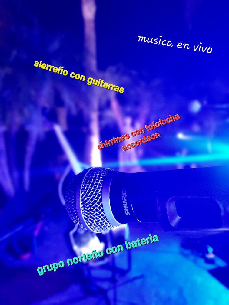 Requinto Guitarras  Acordeon Disponibles 