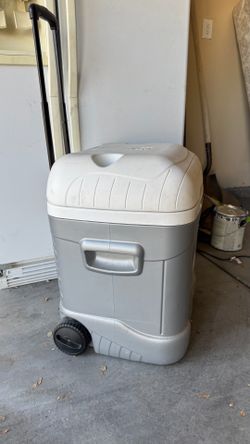 Cooler  Igloo brand