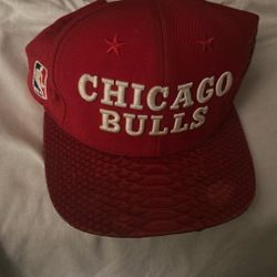 Don C Chicago Bulls