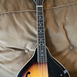 Rogue Brand Mandolin With Self Adhered Electric Pickup (removable)