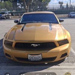 2010 Ford Mustang Excellent Condition.