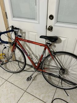 Trek Bicycle Professional