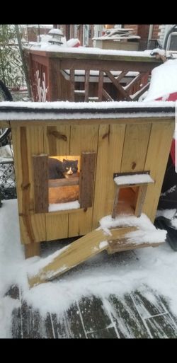 Cat and Dog Houses and Chicken Coops