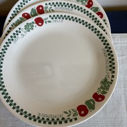 3 corelle farm fresh dinner plates