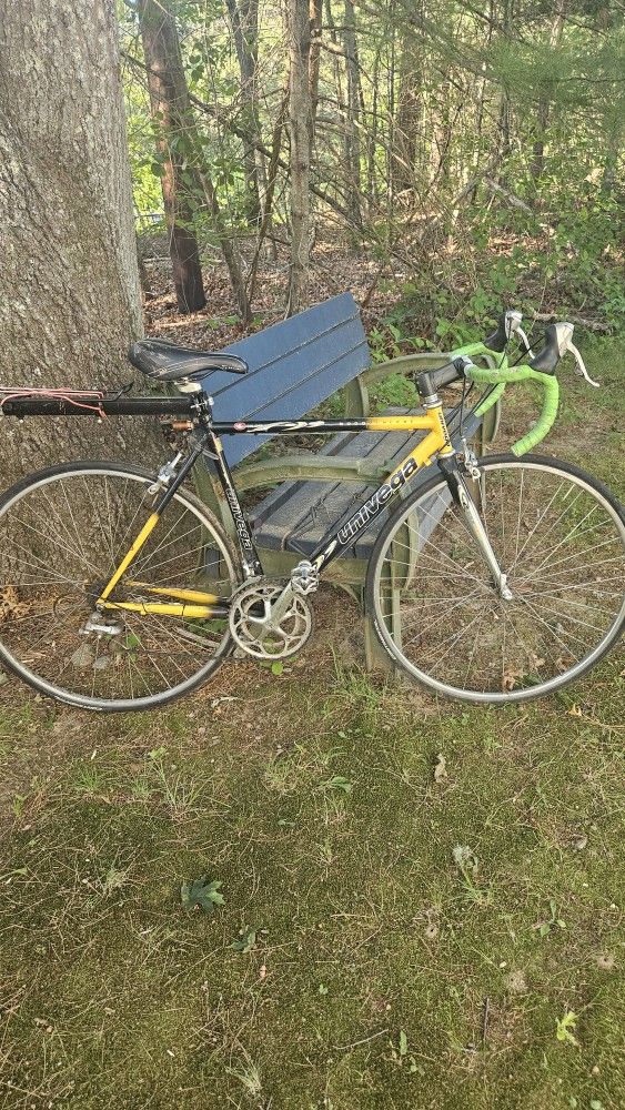 2001 Italian Univega Modovincere Road Bike