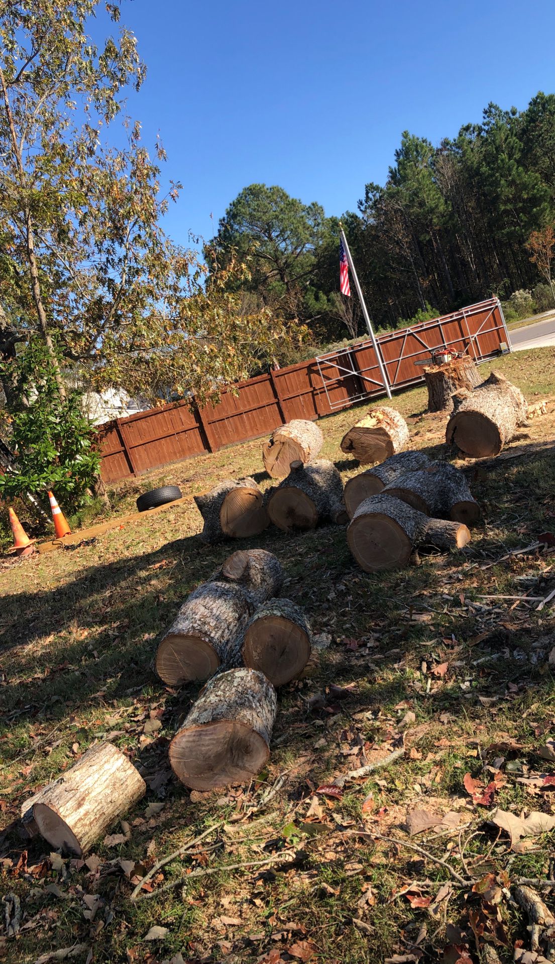 White oak logs fire wood