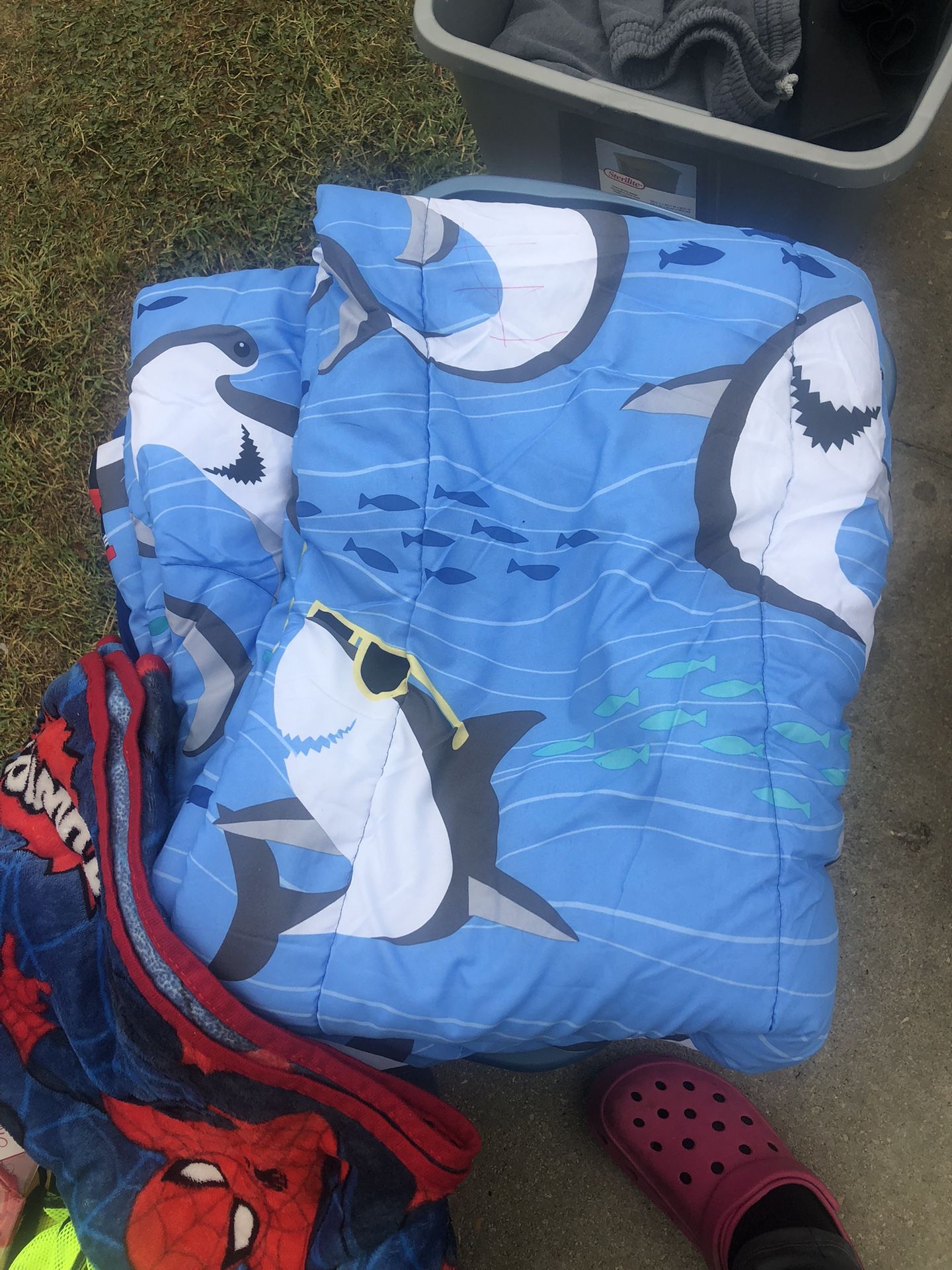 Comforter Shark