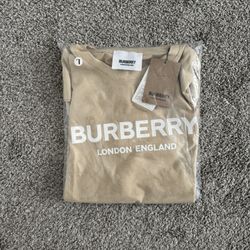 Blurberry Shirt 