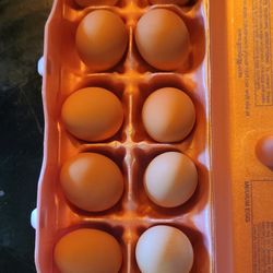 Fresh Eggs Daily $3.00 Dozen,  $5.00 For 18