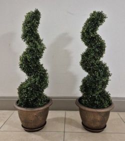 *** REDUCED *** PAIR of 3ft Boxwood Spirals in 11in Gold Circle Planters @ Lasting Creations