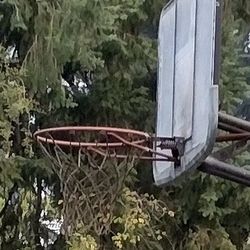 Basketball Hoop