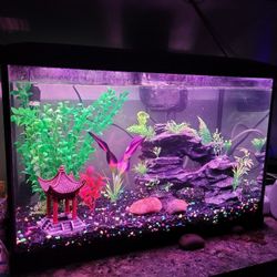 Tetra 20 Gallon Aquarium 