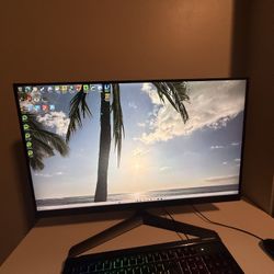 30 inch LG  UltraGear Monitor 