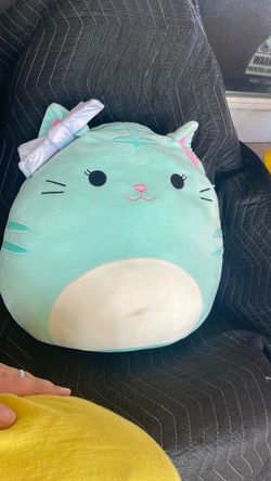 Tres’zure cat Squishmallow