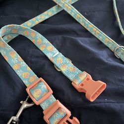 Very Cute Pineapple Collar And Leash 
