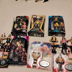 Wrestling Figure For Sale