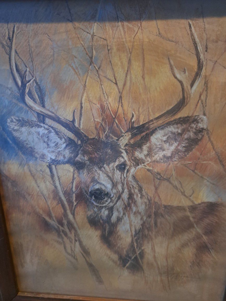 Vintage Deer print The Silent Buck By K Maroon 1978 Framed Wall Art 