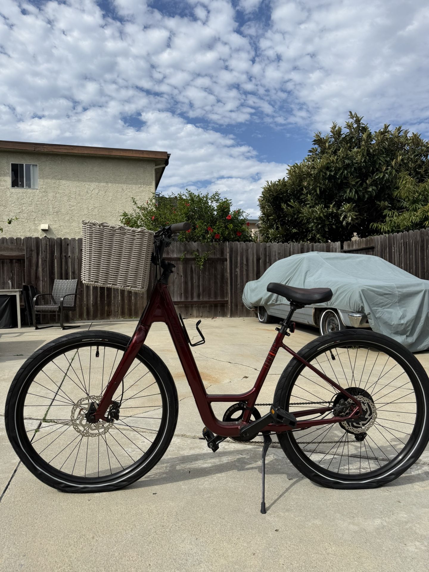 Specialized Comfort Bike