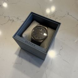 Skagen Men’s Watch
