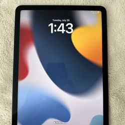 iPad Air 256gb (4th Generation) 