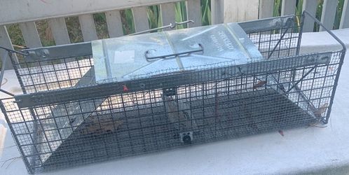 Havaheart 2 door small animal trap