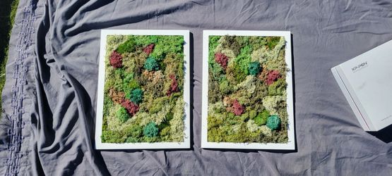 Pair of Preserved Reindeer Moss Framed Wall Art (Zero Maintenance)
