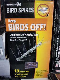 10 ft of bird x stainless spikes 6" coverage