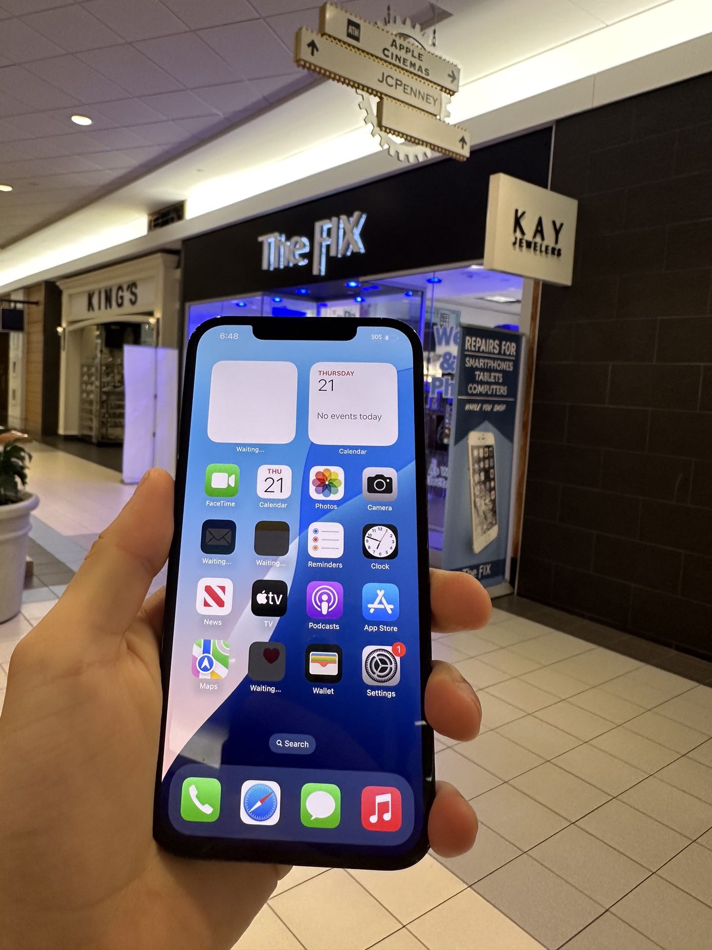 iPhone 12 Pro Max (256 GB)