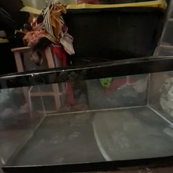 Reptile Tank