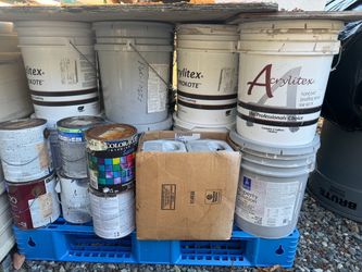 Free Paint