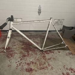Fixie bike frame 