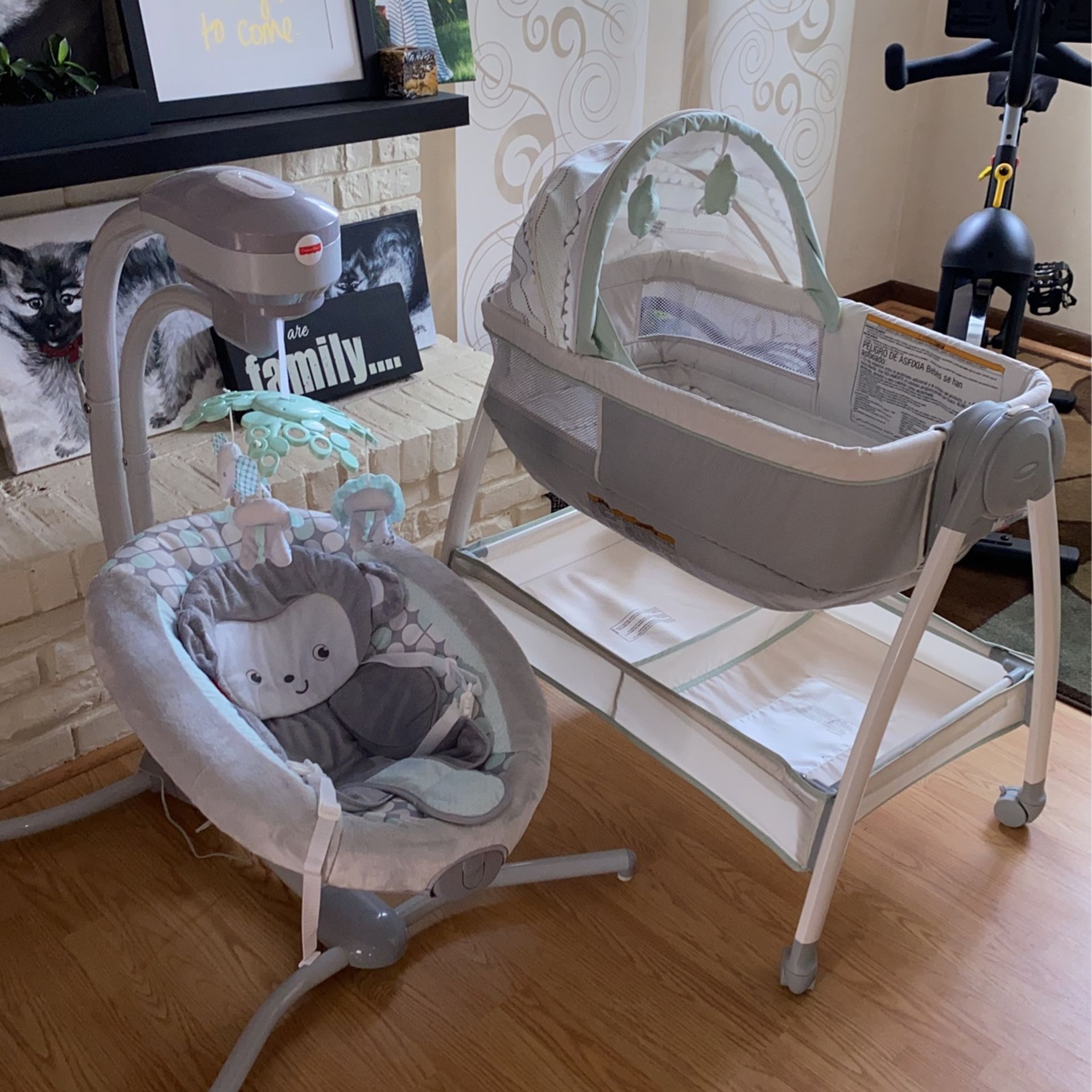 Bassinet/swing