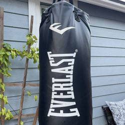 Everlast Punching Bag and Boxing Gloves