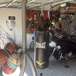 Everlast Punching Bag w/ Stand