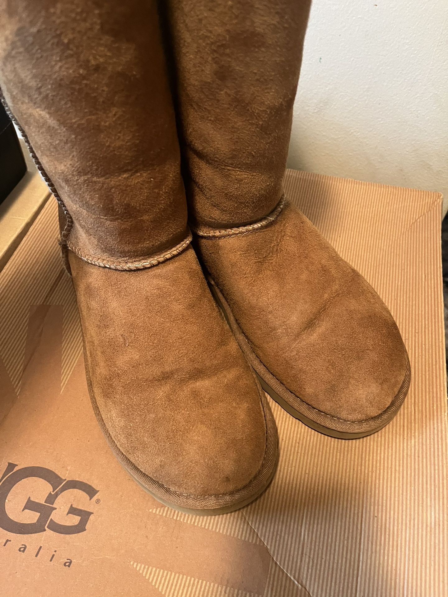 Classic Tall Women’s Chestnut Uggs
