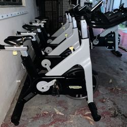 TECHNOGYM  Bike 