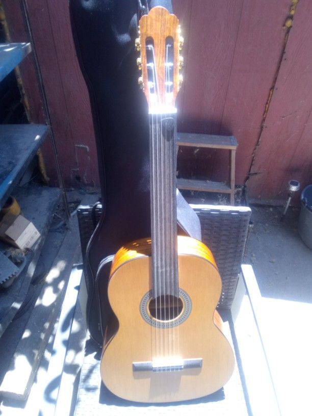 tario Fretless Acoustic Guitar