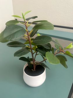 Artificial Plant