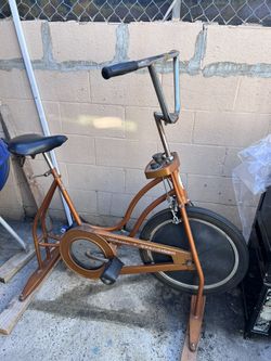 Schwinn exerciser