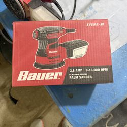 Sander Palm 5 Inch 