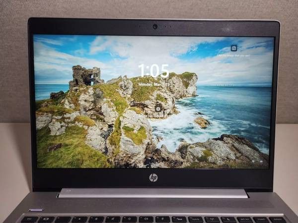 8th Gen i5 HP ProBook 440 G6 Laptop (8GB/256GB)
