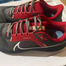 Custom Ordered  Nike Pegasus 40 Shoes Size 15 (49ers)