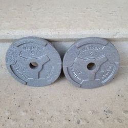 2- 5LB WEIDER WEIGHT PLATES 