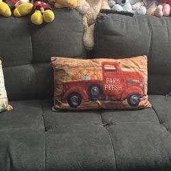 Decorative Couch Pillows