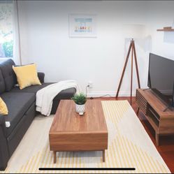 Mid Century Modern Coffee Table And TV Stand