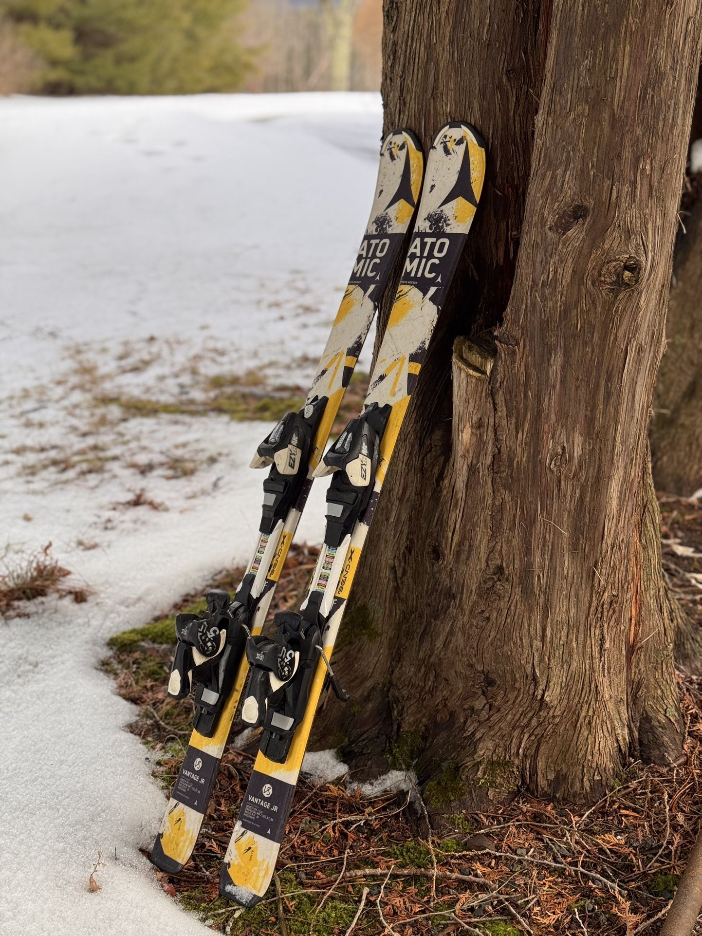 Ski Atomic 110