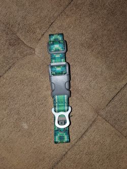 Dog Collar / Collar De Perro